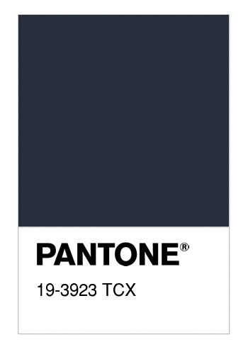 pantone 19 3923.